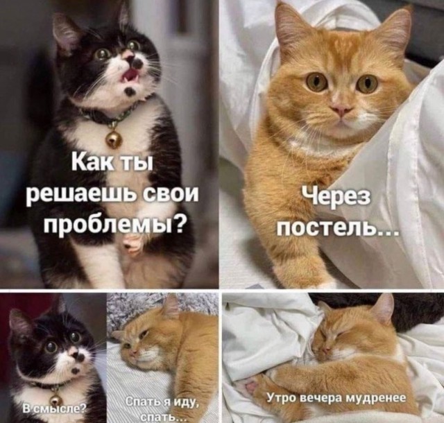 Субботние картинки