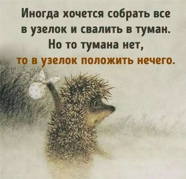 Прикольные и просто красивые картинки 06.01. 2026