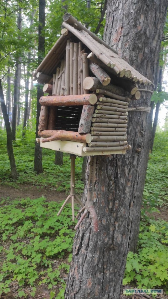 С белочкой нужно дружить заранее! Или пост про рукожопство.