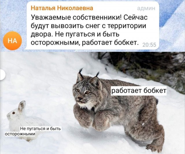 Так себе картинки 19.03.26