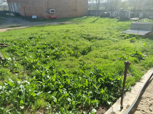 Рыбак в Нижневартовске