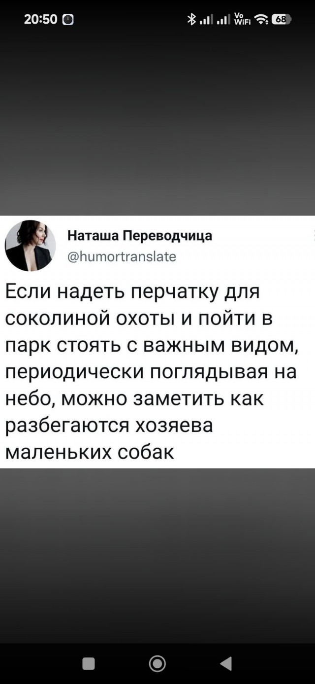 Веселые картинки в пятницу (17.07)