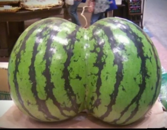 Пятничные жопки