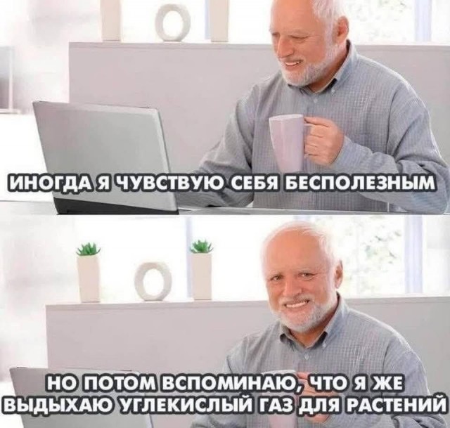 Веселые картинки в маленькую пятницу (05.08)