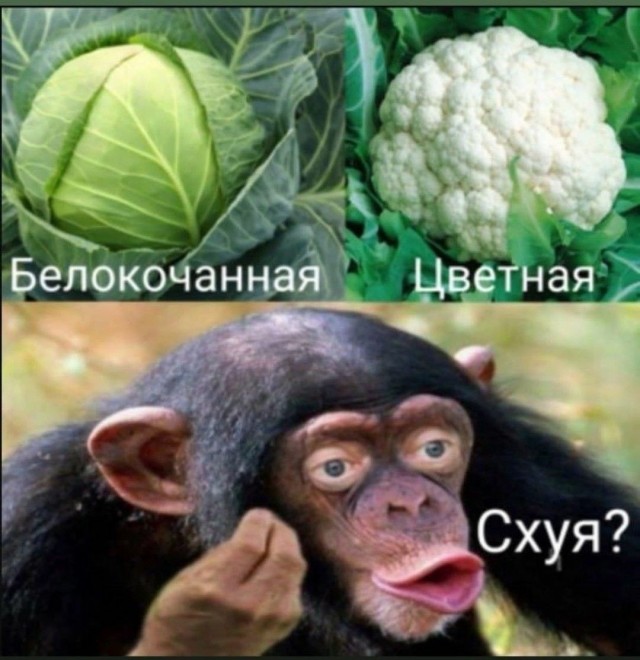 Старье,, честно