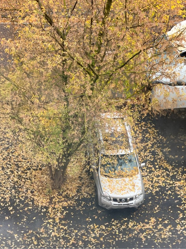 Ситуация