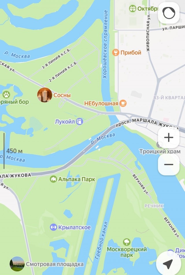 Пропавшая после ссоры с парнем москвичка спрыгнула с Живописного моста