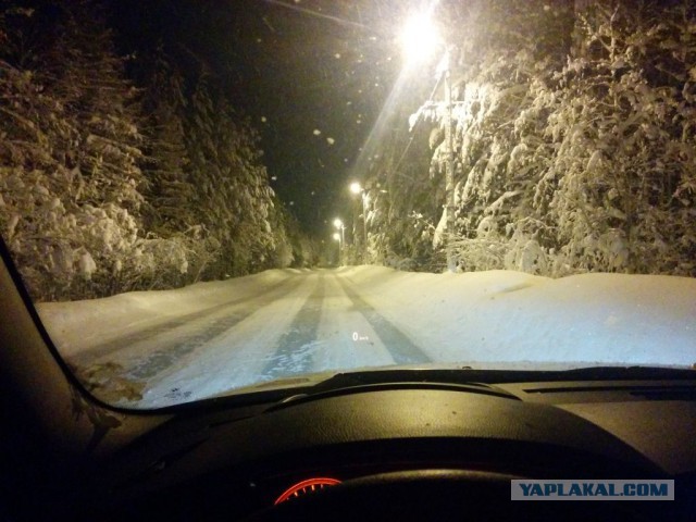 Категории женщин