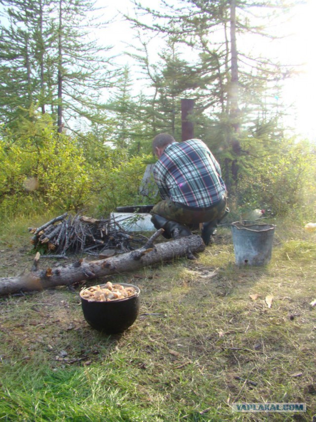 Север далекий, суровый и красивый
