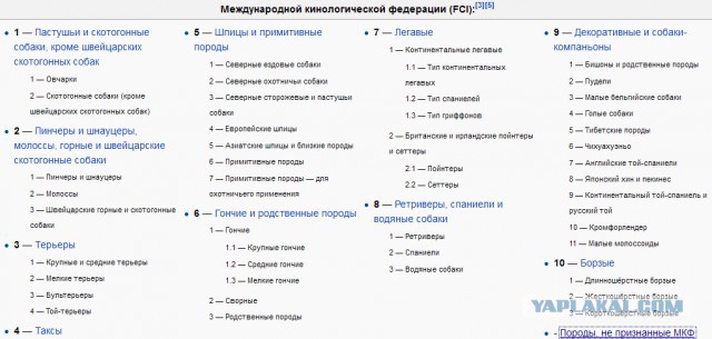 Ну давай, рискни, тронь этого ребятёнка...