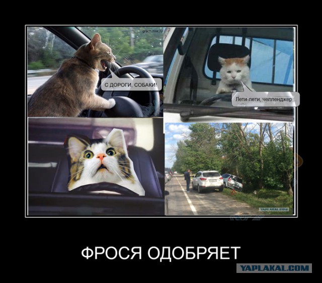 К успеху спешил..