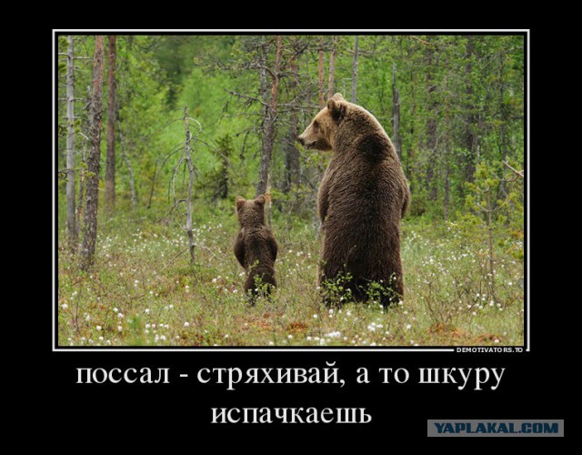 Картинки для настроения