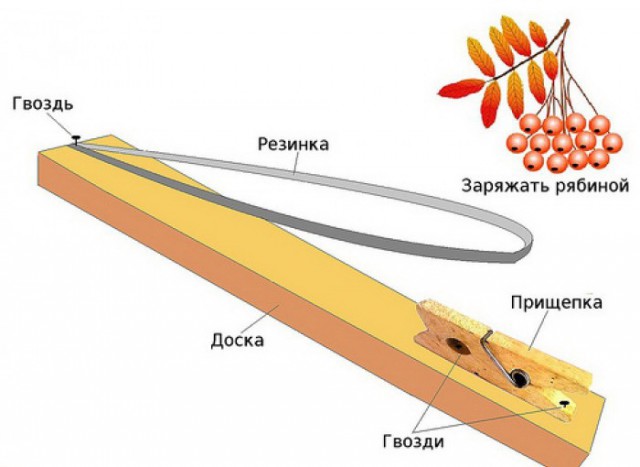 Когда фантазия стала реальностью