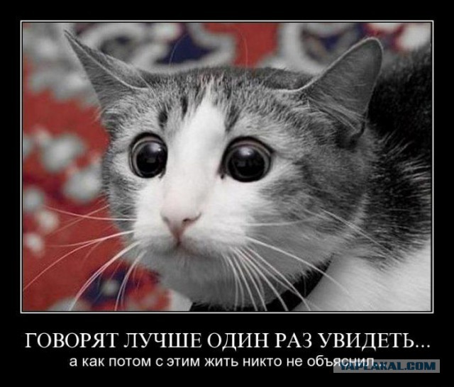 Странные странности мамаш (и не только)
