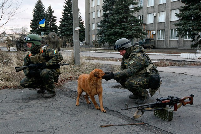 Кошки и собаки на войне в Донбассе