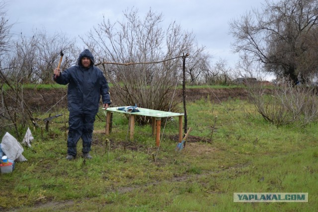 Рыбалка на воблу