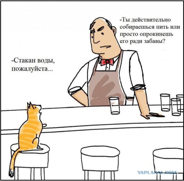 Котокомиксы