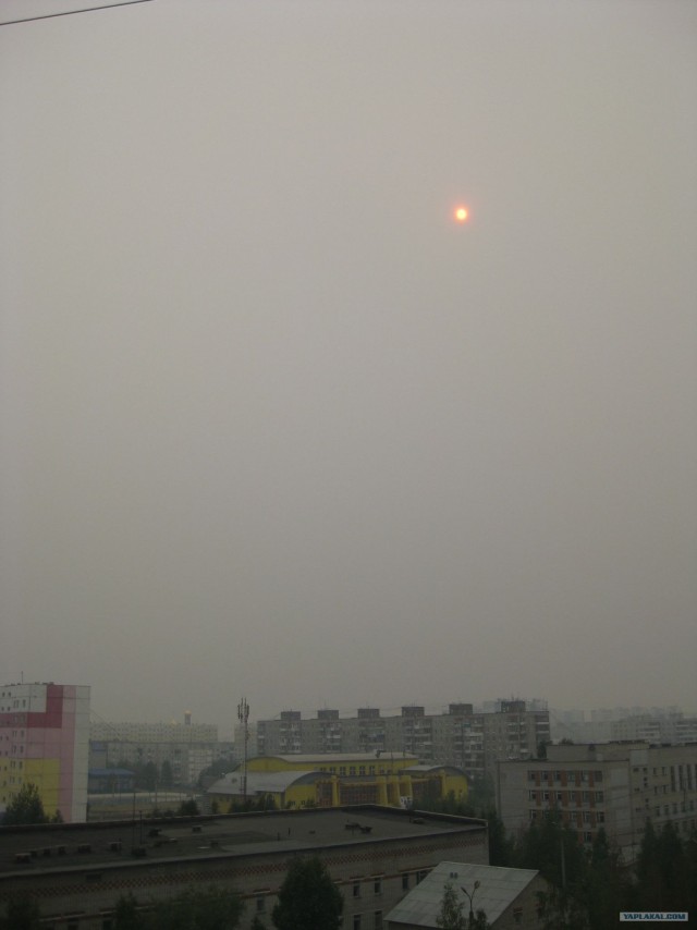 Пожары в ЮГРЕ