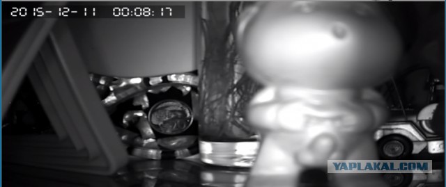 За что я люблю китайцев