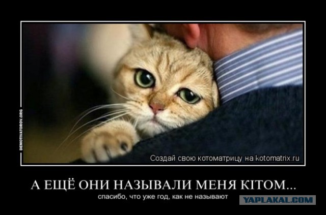 Украина решила заменить русский мат