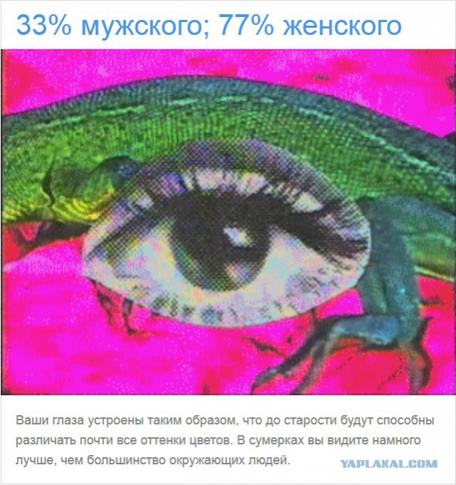 Тест: Вы воспринимаете этот мир глазами мужчины или женщины?