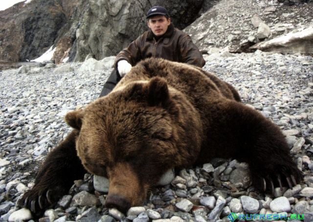 Медведь-людоед