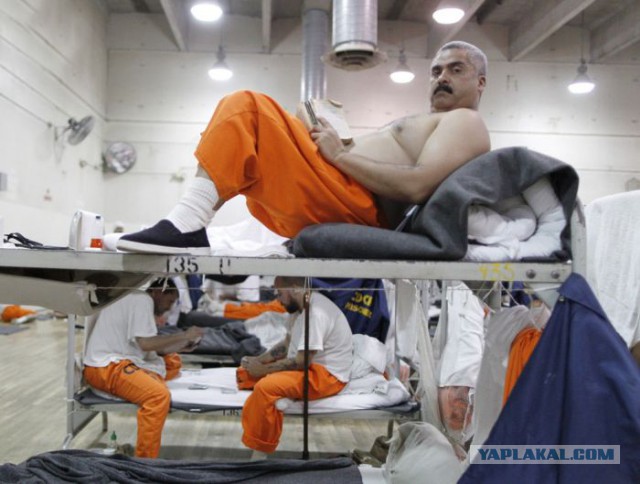 16 людей, которые так и не поняли, что такое штаны и как их следует носить