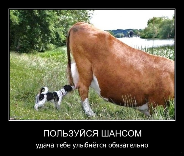 Подборка интересных и веселых картинок