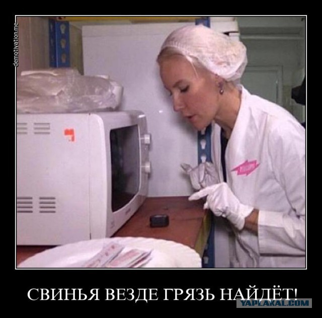 О работе "Ревизорро"
