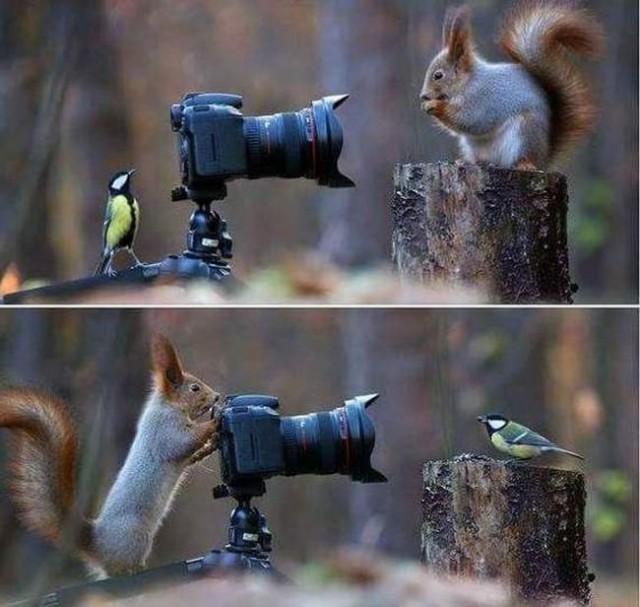 Ассорти  фоток на пятницу..