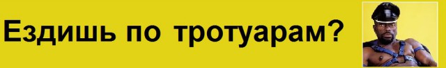 В Барнауле установили дорожные знаки, на которых водителей сравнили с животными
