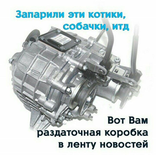 Порция картинок