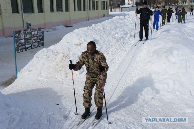 Эстонцы научат американцев воевать на лыжах