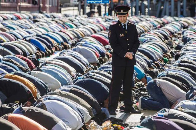 Подборка интересных и веселых картинок