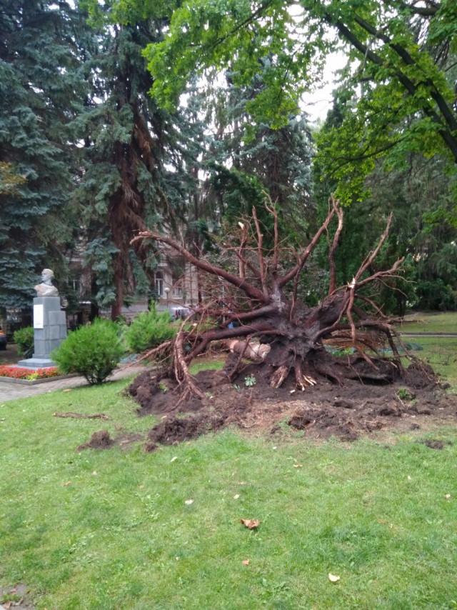 Мощнейший ливень и ураган в Кисловодске