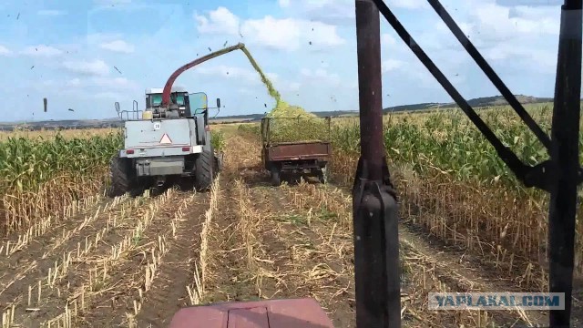Сенаж Силос