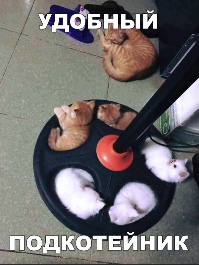 Нестандартный юмор