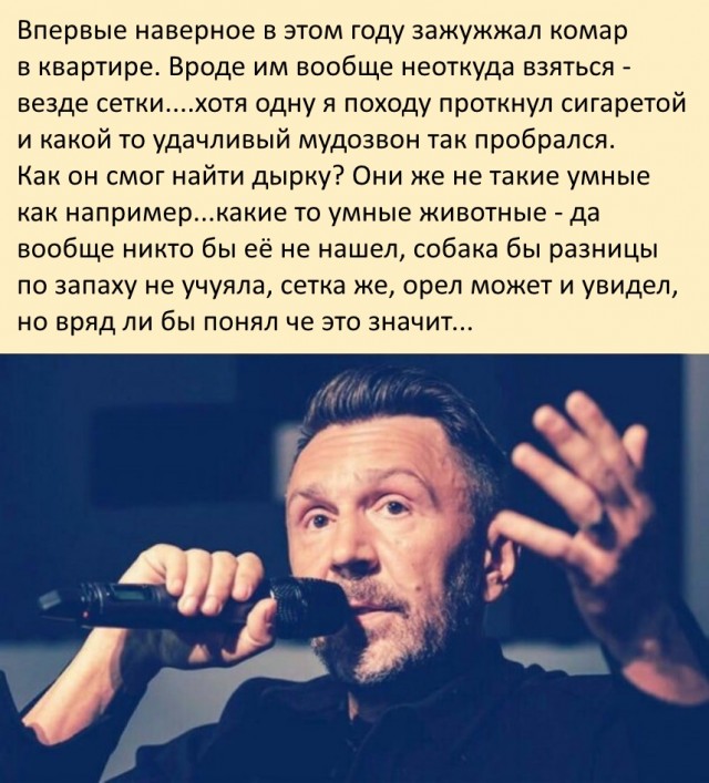 Медведи и дурак.