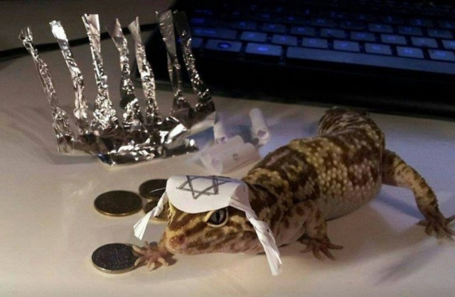 Живность из сети