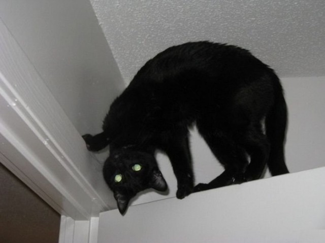 Paзнoвиднocти тьмы