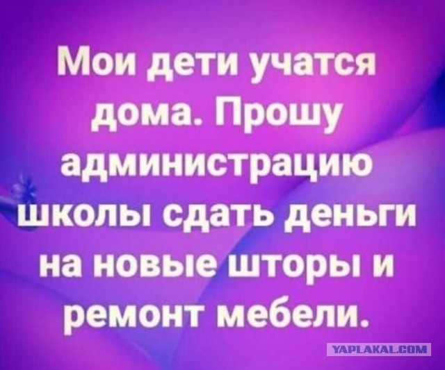 Зх, как могём, а могём мы много. 13 шт.