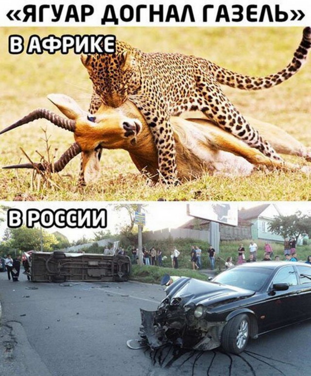 Так себе картинки