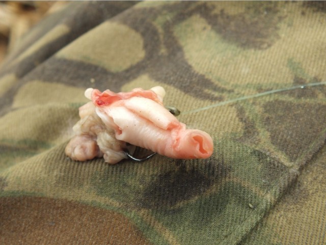 #ДРЯПнем! Сердечное рагу