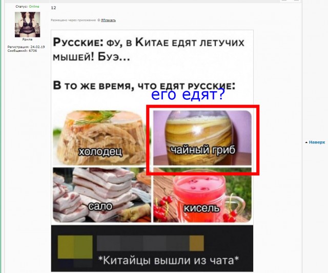 Бредзона 06.06.20