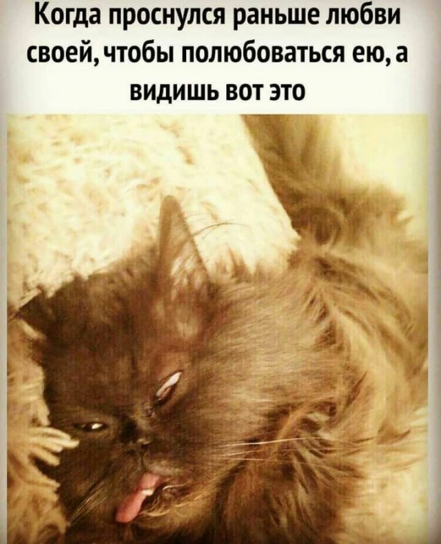 Картинки из недр интернета