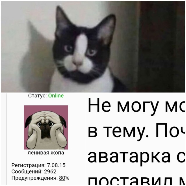Игровые девицы, которые волнуют наши умы