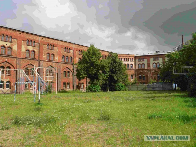 Я живу в Калининграде