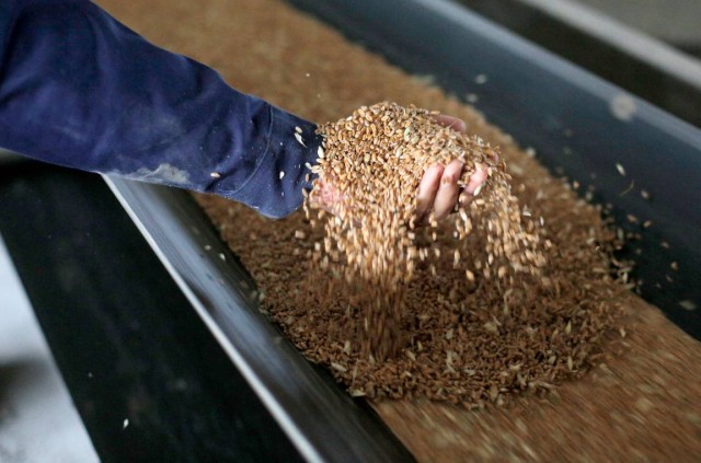 Украина собрала рекордный урожай зерна за всю историю.