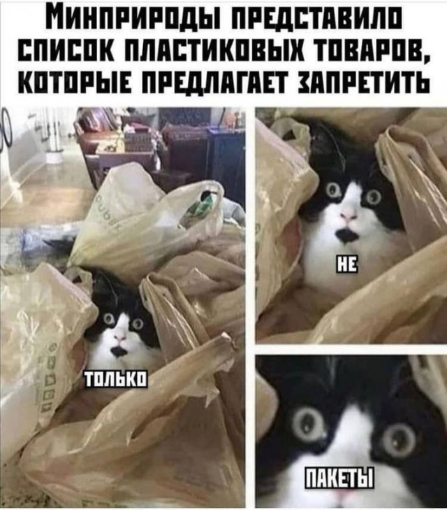 Картинки и мемы для настроения 18.10.2021