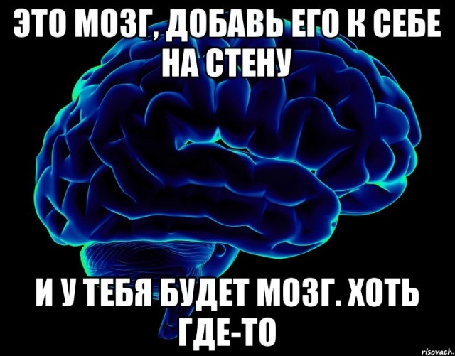 Мем без мозгов. Мемы про мозг. Мозг Мем. Мозги Мем.